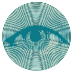 Teal House Foundation logo Lunartis Studio